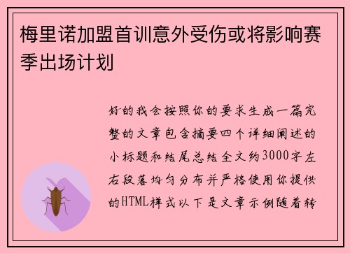 梅里诺加盟首训意外受伤或将影响赛季出场计划